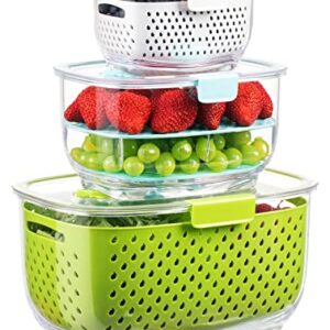 LUXEAR Fresh Produce Vegetable Fruit Storage Containers 3Piece Set, BPA-free Fridge Storage Container, Partitioned Salad Container, Fridge Organizers, Used in Storing Fruits Vegetables Meat Fresh Fish