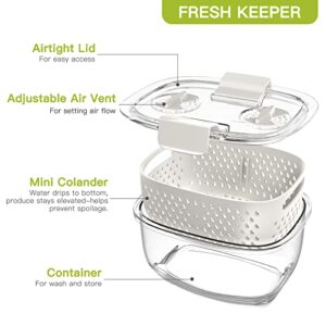 LUXEAR Fresh Produce Vegetable Fruit Storage Containers 3Piece Set, BPA-free Fridge Storage Container, Partitioned Salad Container, Fridge Organizers, Used in Storing Fruits Vegetables Meat Fresh Fish