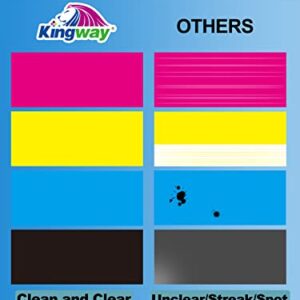 KINGWAY 65 Ink Cartridge for HP Printers, Remanufactured Replacement for 65XL 65 XL to use with Envy 5055 5052 5058 DeskJet 3755 2655 3720 3722 3723 3752 3758 2652 2624 Printer (2 Black)