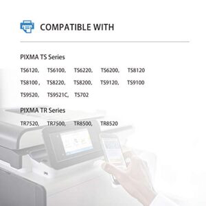 TEINO Compatible Ink Cartridges Replacement for Canon 280 PGI-280 XL PGI-280XXL use with Canon PIXMA TS9120 TR8520 TS8220 TS6220 TS6120 TR7520 TS9520 TS8120 TR8500 TS9100 TR7500 (PGBK, 2-Pack)
