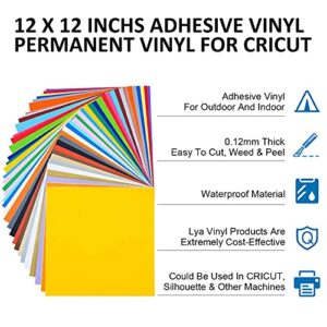 Lya Vinyl 55 Pack Permanent Adhesive Vinyl Sheets for Decor Sticker, Party Decoration, Car Decal - 43 Color Vinyl for Cutting Machine, Craft Cutter