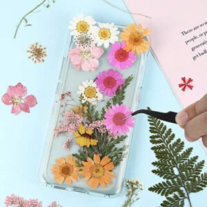 Nuanchu Pressed Flowers Resin Flowers for Resin Mold, Real Daisy Dried Flower Leaves Natural with Tweezers for Scrapbooking DIY Candle Accessories Jewelry Crafts Making (Fresh Style)