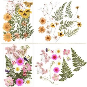 Nuanchu Pressed Flowers Resin Flowers for Resin Mold, Real Daisy Dried Flower Leaves Natural with Tweezers for Scrapbooking DIY Candle Accessories Jewelry Crafts Making (Fresh Style)