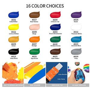 Acrylic Paint Set, Aen Art 16 Colors Painting Supplies for Canvas Wood Fabric Ceramic Crafts, Non Toxic&Rich Pigments for Beginners