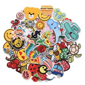 harsgs 60pcs random assorted styles embroidered patches, bright vivid colors, sew on/iron on patch applique for clothes, dress, hat, jeans, diy accessories