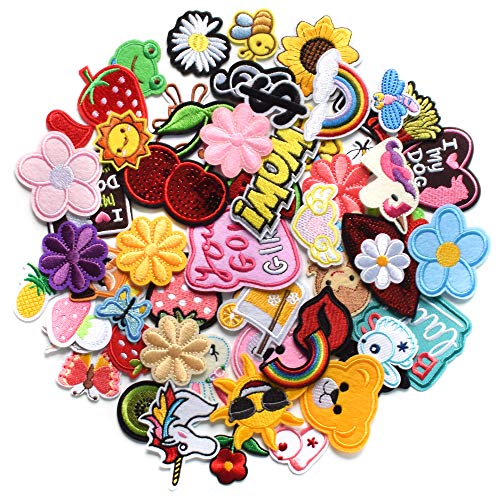 Harsgs 60pcs Random Assorted Styles Embroidered Patches, Bright Vivid Colors, Sew On/Iron On Patch Applique for Clothes, Dress, Hat, Jeans, DIY Accessories