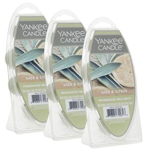 yankee candle sage & citrus wax melts, 3 packs of 6 (18 total)