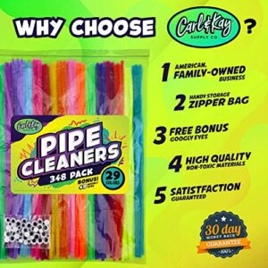 Carl & Kay 348 Pipe Cleaners & 48 Googly Eyes - Chenille Stems Pipe Cleaners Craft - Colorful Pipe Cleaners for Crafts - Colored Pipe Cleaners for Kids - Bulk Pipe Cleaners - Soft Fuzzy Chenille Stems