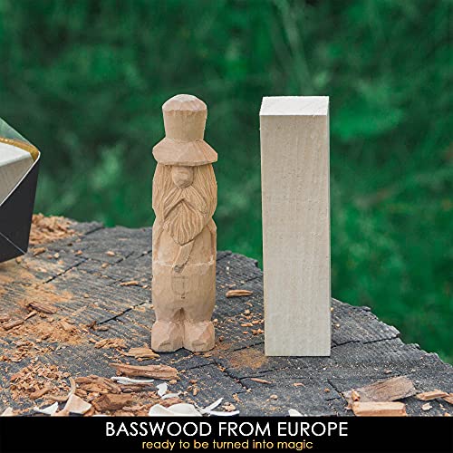 BeaverCraft BW18 pcs Basswood Carving Blocks Whittling Wood Carving Blocks Basswood for Carving Wood for Whittling Kit Wood Blocks for Carving Basswood for Wood Carving Set Wood Carving Wood