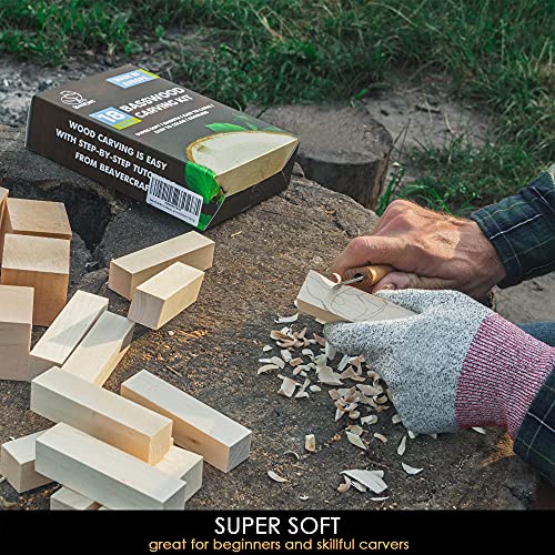 BeaverCraft BW18 pcs Basswood Carving Blocks Whittling Wood Carving Blocks Basswood for Carving Wood for Whittling Kit Wood Blocks for Carving Basswood for Wood Carving Set Wood Carving Wood