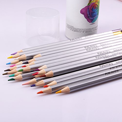 FUNLAVIE Colored Pencils 24 Coloring Pencils Premium Art Drawing Pencil for Adults Coloring Book