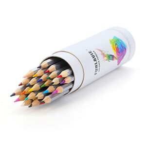 FUNLAVIE Colored Pencils 24 Coloring Pencils Premium Art Drawing Pencil for Adults Coloring Book