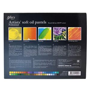 Mungyo Gallery Soft Oil Pastels Set of 48 - Assorted Colors