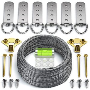 Heavy Duty Picture Wire Hanging Kit - D-Ring, Screws, Hanging Hooks,Level. Supports up to 110 lbs 50+ Feet (15.25M) Stainless Steel Wire Hanger