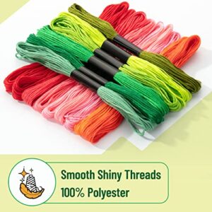 Mr. Pen- Embroidery Floss, 50 Skeins, Rainbow Colors Embroidery Thread with 5 Needles, Cross Stitch Thread, Friendship Bracelet String, Thread for Bracelet Making, Craft String, Strings for Bracelets