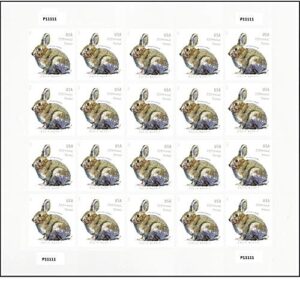 brush rabbit additional ounce forever postage stamps sheet of 20 us postal first class wedding celebration anniversary party (20 stamps) use three of these stamps for one ounce letters.