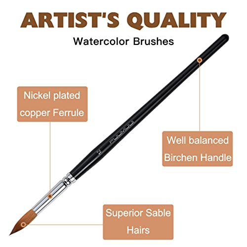 Sable Watercolor Brushes Professional, Fuumuui 8Pcs Kolinsky Sable Brush Set Variety Shapes with Flat, Round Pointed, Cat's Tongue Oval Wash Perfect for Watercolor Acrylic Gouache Inks Painting