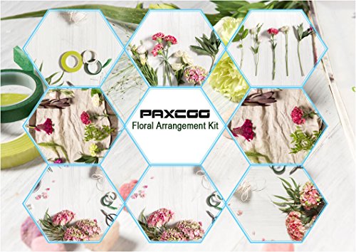 Paxcoo Floral Tape and Floral Wire Arrangement Tools Kit with Wire Cutter 26 Gauge Stem Wire and 22 Gauge Paddle Wire for Bouquet Stem Wrap Florist