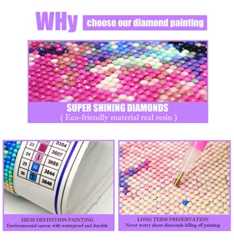 CHANGBAISHAN 5D Diamond Painting Kits for Adults and Kids - Full Drill Diamond Painting 12 x 16 in - Crystal Rhinestone Diamond Art Kits for Adults and Kids - Home Wall Decor