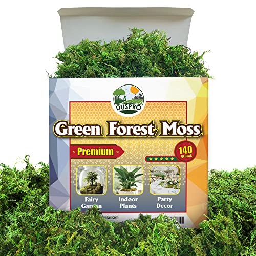 DUSPRO Green Moss for Crafts, Artificial Moss for Potted Plants, Decorative Moss for Table Centerpieces Wedding Christmas Fairy Party Decor, Faux Moss for Indoor Planters, DIY Project 140gr