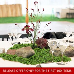 DUSPRO Green Moss for Crafts, Artificial Moss for Potted Plants, Decorative Moss for Table Centerpieces Wedding Christmas Fairy Party Decor, Faux Moss for Indoor Planters, DIY Project 140gr