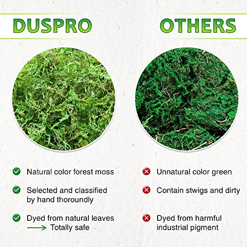 DUSPRO Green Moss for Crafts, Artificial Moss for Potted Plants, Decorative Moss for Table Centerpieces Wedding Christmas Fairy Party Decor, Faux Moss for Indoor Planters, DIY Project 140gr