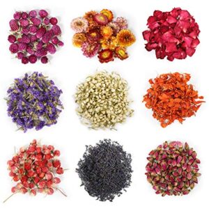 9 bags dried flowers,100% natural dried flowers herbs kit for soap making, diy candle making,bath – include rose petals,lavender,don’t forget me,lilium,jasmine,rosebudsand more