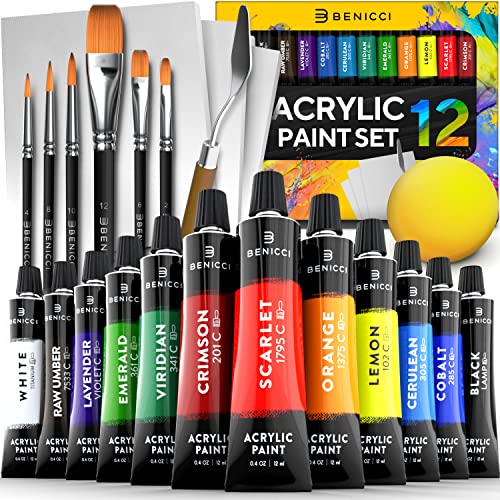 Acrylic Paint Set for Kids, Artists and Adults - 12 Vibrant Colors, 6 Brushes and 3 Paint Canvases - Perfect for Beginners or Professionals