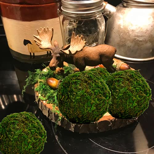 BYHER Natural Green Moss Decorative Ball,Handmade (3.5"-Set of 6)