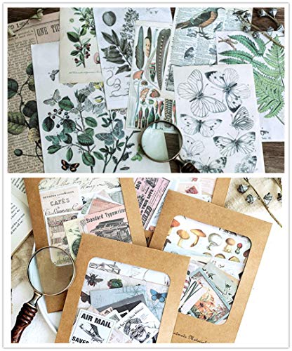 DESEACO Vintage Aesthetic Posters for Room Aesthetic Wall Decor, Plant Journal Green Room Decor for Teen Girls, Botanical Wall Art in Nature Journal, Cute Journaling Supplies Aesthetic Collage Kit