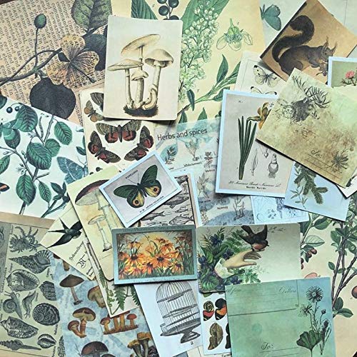 DESEACO Vintage Aesthetic Posters for Room Aesthetic Wall Decor, Plant Journal Green Room Decor for Teen Girls, Botanical Wall Art in Nature Journal, Cute Journaling Supplies Aesthetic Collage Kit