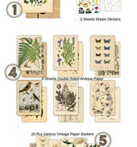 DESEACO Vintage Aesthetic Posters for Room Aesthetic Wall Decor, Plant Journal Green Room Decor for Teen Girls, Botanical Wall Art in Nature Journal, Cute Journaling Supplies Aesthetic Collage Kit