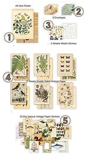 DESEACO Vintage Aesthetic Posters for Room Aesthetic Wall Decor, Plant Journal Green Room Decor for Teen Girls, Botanical Wall Art in Nature Journal, Cute Journaling Supplies Aesthetic Collage Kit