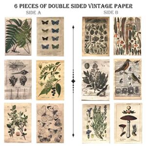 DESEACO Vintage Aesthetic Posters for Room Aesthetic Wall Decor, Plant Journal Green Room Decor for Teen Girls, Botanical Wall Art in Nature Journal, Cute Journaling Supplies Aesthetic Collage Kit