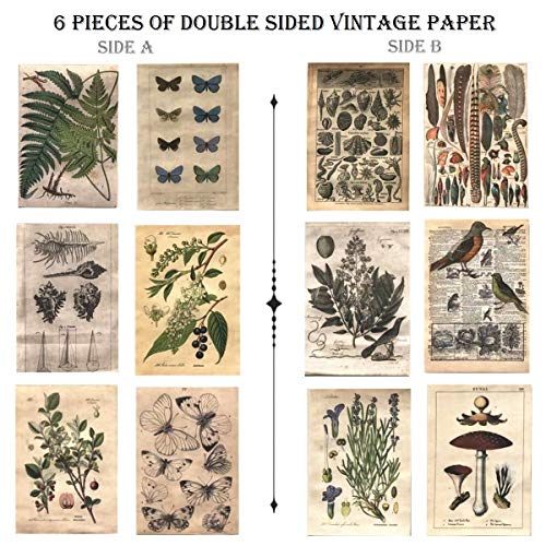 DESEACO Vintage Aesthetic Posters for Room Aesthetic Wall Decor, Plant Journal Green Room Decor for Teen Girls, Botanical Wall Art in Nature Journal, Cute Journaling Supplies Aesthetic Collage Kit