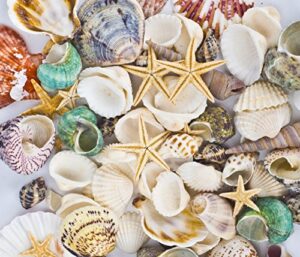 famoby sea shells mixed beach seashells starfish for beach theme party wedding decorations diy crafts candle making fish tank vase fillers home decorations supplies 70+ pcs
