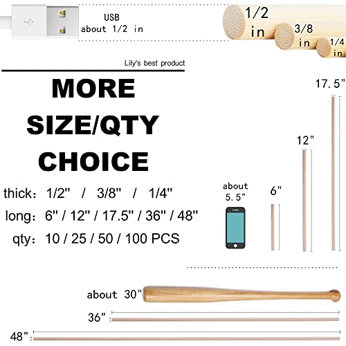 25PCS Dowel Rods Wood Sticks Wooden Dowel Rods - 1/4 x 6 Inch Unfinished Bamboo Sticks - for Crafts and DIYers
