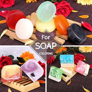 12 Color Bath Bomb Soap Dye - Skin Safe Bath Bomb Colorant Food Grade Coloring for Soap Making Supplies, Natural Liquid Soap Colorant for DIY Bath Bomb Supplies Kit, Slime, Crafts - with Instructions