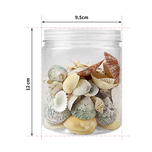 WEOXPR Mixed Sea Shells, 100+ Pcs Beach Seashells Starfish, Various Sizes Ocean Seashells for Fish Tank Vase Fillers, Beach Theme Party Wedding Decor, Candle Making, DIY Crafts, Home Decorations