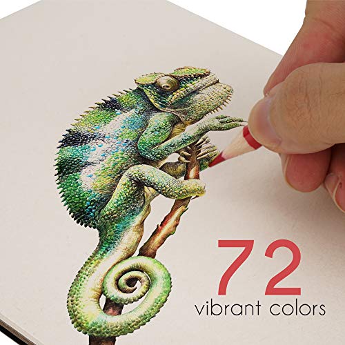 Zenacolor 72 Colored Pencils Set - Numbered Coloring Pencils in Metal Case - Art supplies Color Pencils for Adult Coloring Books, Adults and Artists