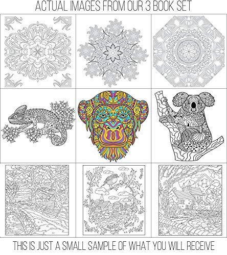 Adult Coloring Books Set - 3 Coloring Books for Grownups - 120 Unique Animals, Scenery & Mandalas Designs. Coloring Books for Adults Relaxation.