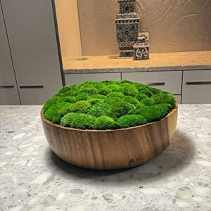 Prefleur Preserved Pole Moss Pillow Bun Cushion Natural Green Decorative Real Natural Green DIY Kit Terrariums Gardenning Art Wall Decor Florist Decor Easter Table Wedding(1.5 sq.ft, Green-B)