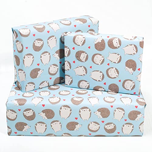 CENTRAL 23 - Wrapping Paper for Kids - Boys - Girls - Blue GiftWrap - Hedgehog and Hearts - Birthday Wrapping Paper - Recyclable