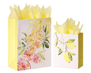 papyrus gift bags with tissue paper (citrus) for birthdays, weddings, bridal showers, baby showers and all occasions (2 bags, 1 large 13″, 1 medium 9″, 8-sheets)