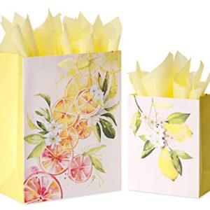 Papyrus Gift Bags with Tissue Paper (Citrus) for Birthdays, Weddings, Bridal Showers, Baby Showers and All Occasions (2 Bags, 1 Large 13", 1 Medium 9", 8-Sheets)