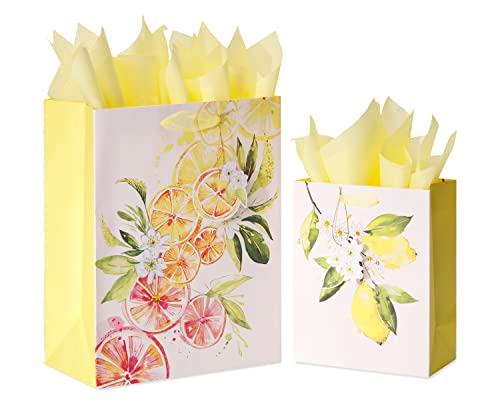 Papyrus Gift Bags with Tissue Paper (Citrus) for Birthdays, Weddings, Bridal Showers, Baby Showers and All Occasions (2 Bags, 1 Large 13", 1 Medium 9", 8-Sheets)