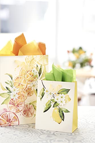 Papyrus Gift Bags with Tissue Paper (Citrus) for Birthdays, Weddings, Bridal Showers, Baby Showers and All Occasions (2 Bags, 1 Large 13", 1 Medium 9", 8-Sheets)