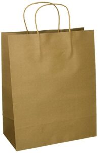 fun express simple brown paper gift 10.5″ x 5.25″ x 13″ | pack of 12 bags, 10 1/2″ x 5 1/4″ x 13″, 12 pieces
