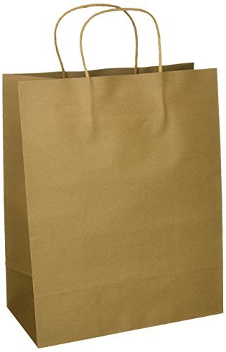 Fun Express Simple Brown Paper Gift 10.5" x 5.25" x 13" | Pack of 12 Bags, 10 1/2" x 5 1/4" x 13", 12 Pieces