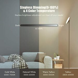 Super Bright LED Floor Lamp with Remote & Touch Control for Living Room /Bedroom /Office ,Sky Standing Tall Lamp 30W/2800LM with Timer,Torchiere Lamp with Stepless Dimmer&4 Color Temperature